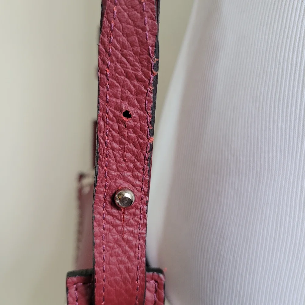 Sofia Ferrari red studded saddlebag - Picture 9 of 10